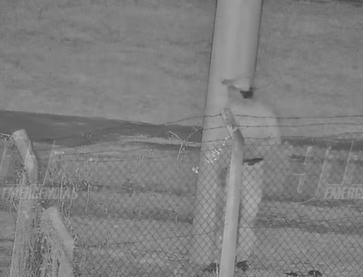 Atrapado por las cámaras de Videovigilancia: Robó un celular, huyó y terminó tras las rejas