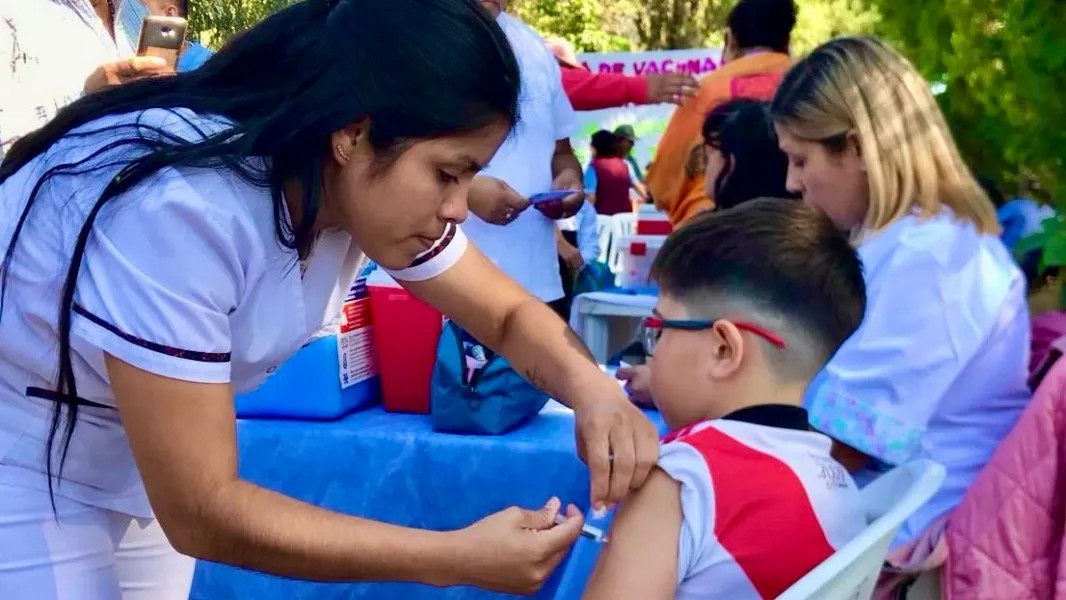 Antes del inicio del ciclo escolar, los niños deben recibir las vacunas correspondientes