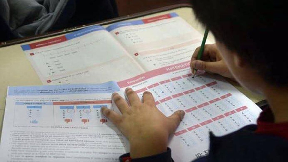 Cambios en las pruebas Aprender: Nuevo esquema bienal, menos censos y foco en alfabetización