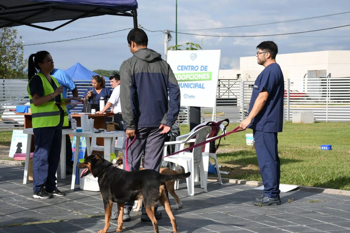 Del abandono al hogar: Dos perros fueron adoptados en una jornada que apuesta a la tenencia responsable