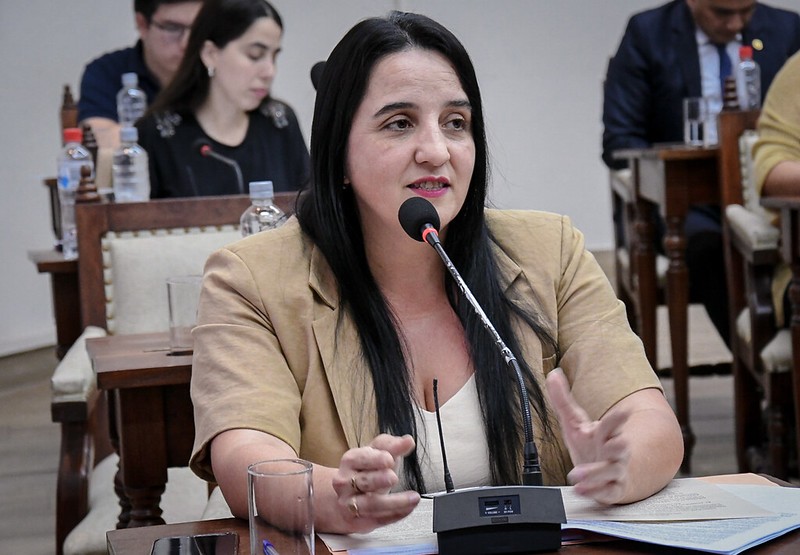 No me sumé para buscar un cargo, que los libertarios se queden tranquilos