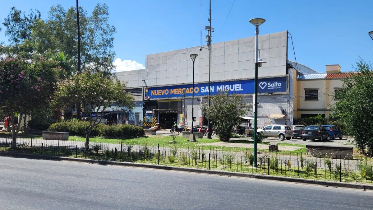 Refuerzan la fumigación en los mercados municipales para garantizar higiene y seguridad