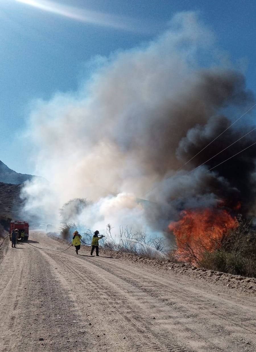 Ruta 40: Un incendio de pastizales movilizó a bomberos y fuerzas locales; identificaron a la responsable
