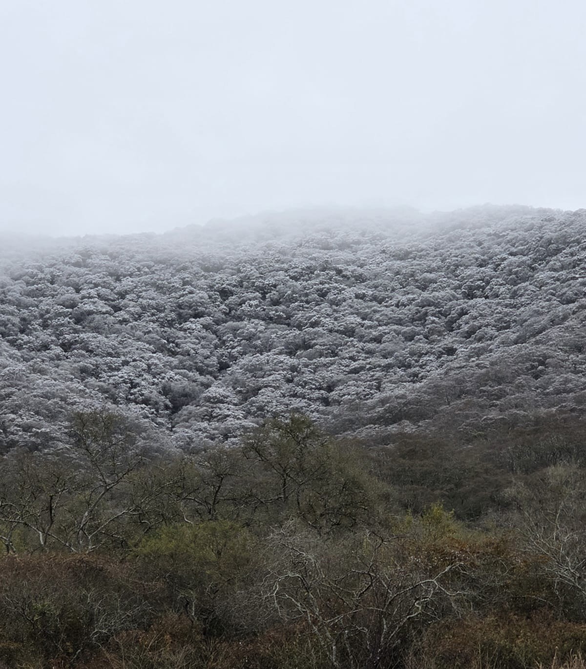 Bajas temperaturas, heladas y agua-nieve en Salta durante los próximos días