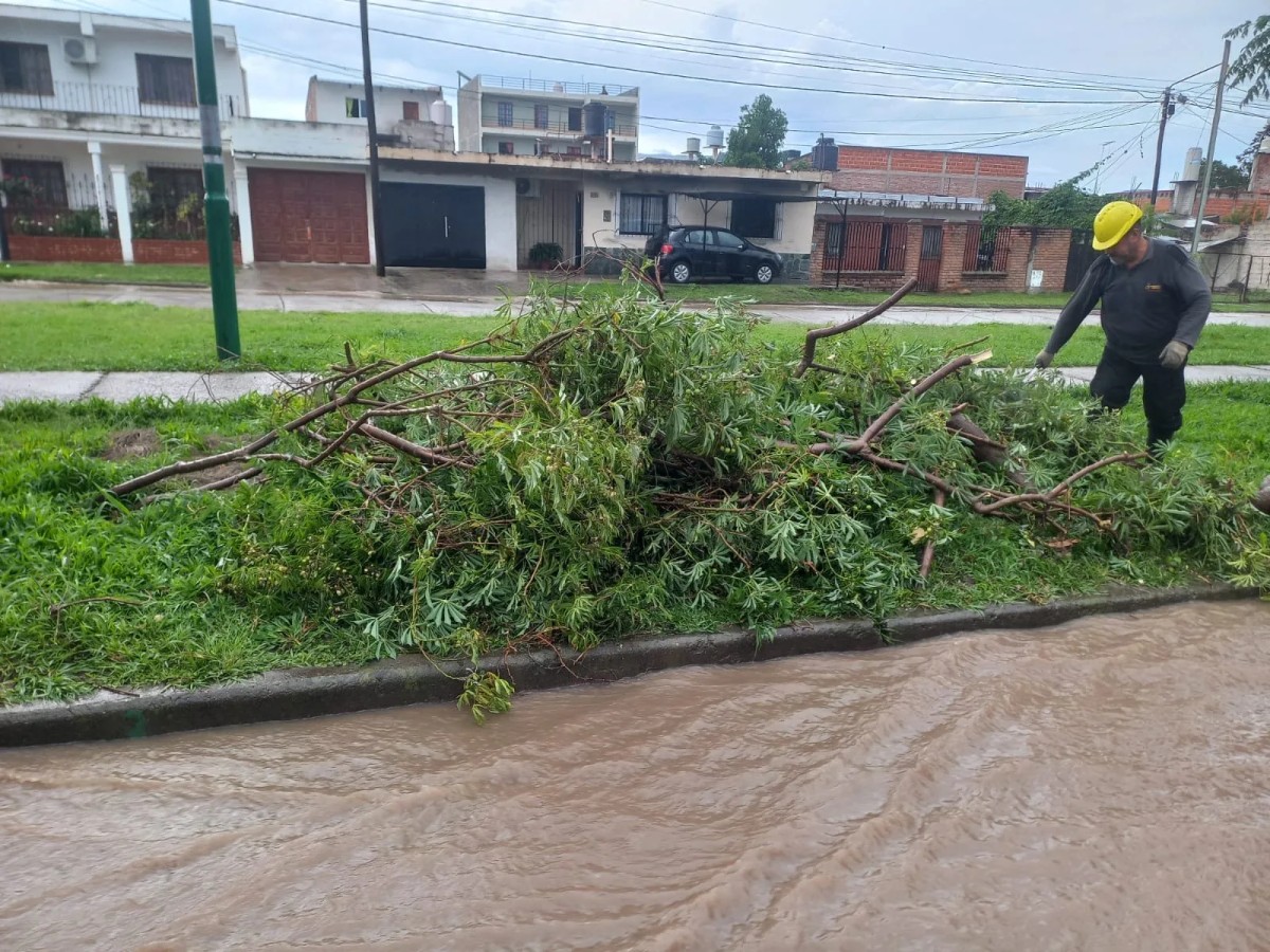 Alerta amarilla vigente en la ciudad: La lluvia dejó 17 incidentes y refuerzan la prevención