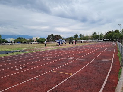Definieron las ternas del Premio Deportista del Año: Quiénes compiten en 2025