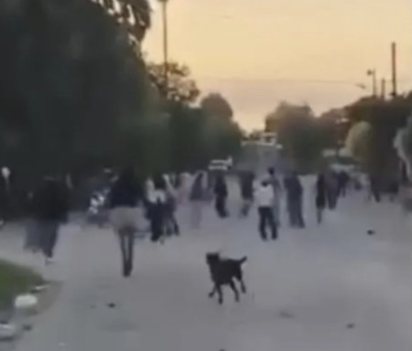 Cinco imputados por robos, lesiones y ataques a la Policía en Rosario de Lerma