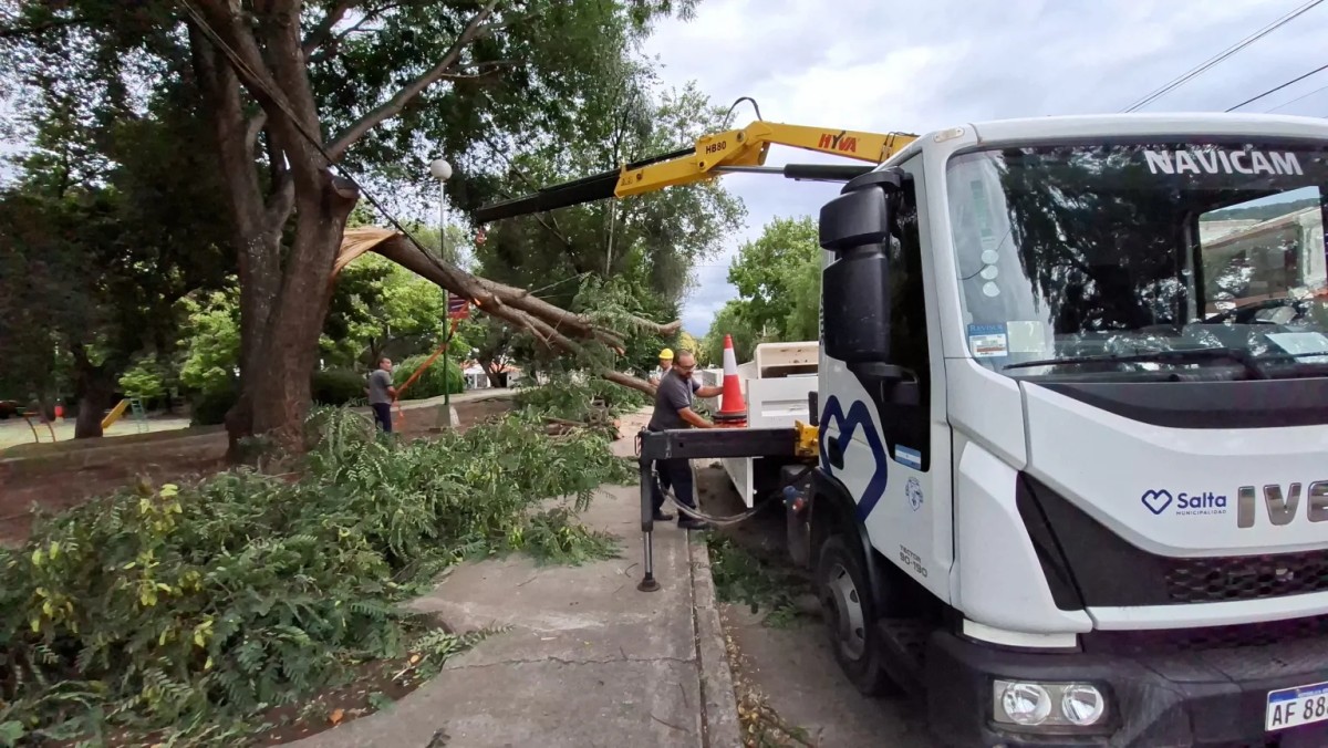 Tormentas persistentes: 31 incidentes y equipos municipales desplegados