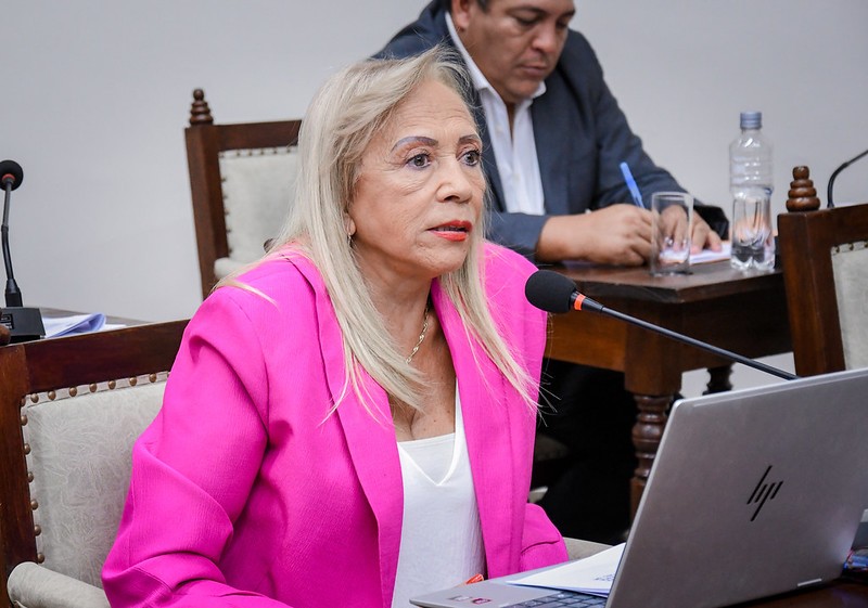 Salta podría pavimentar calles con plástico reciclado