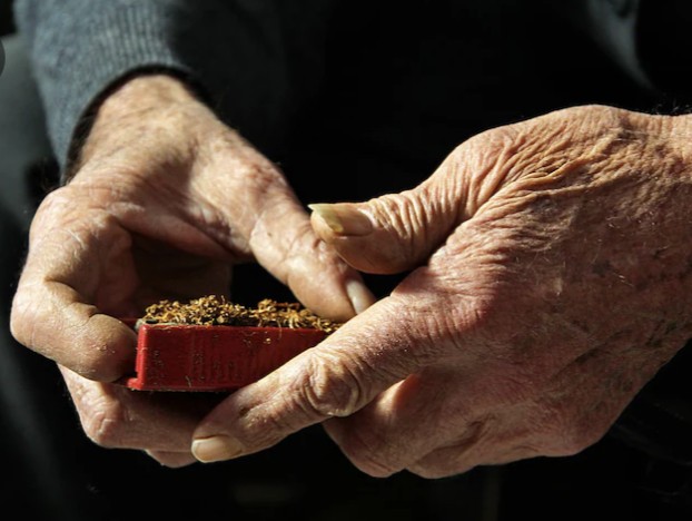 Orán: “La abuelita del barrio” y tres jóvenes imputados por venta de drogas con menor involucrado