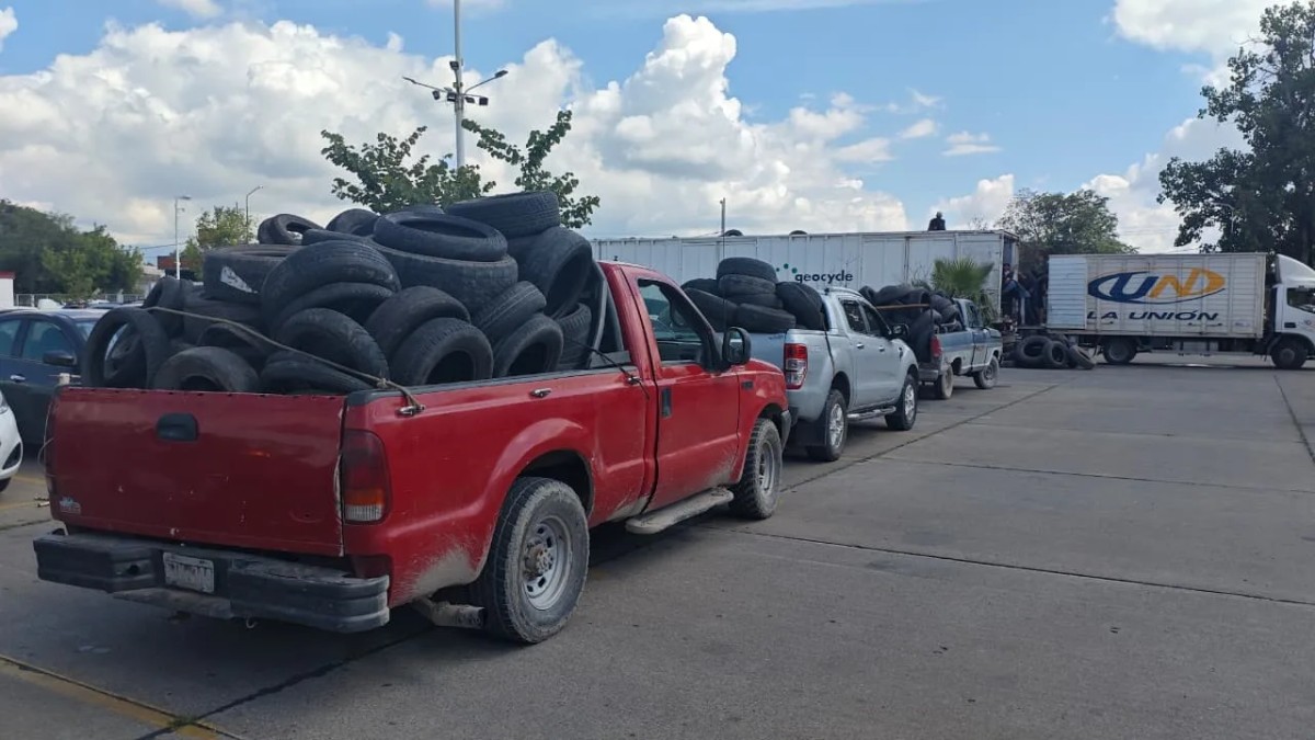 Neumatón: 1.700 toneladas menos en la calle