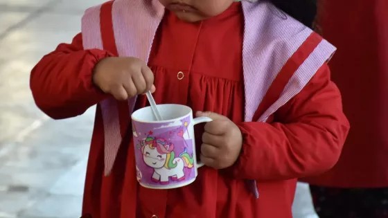 85.000 chicos recibirán la Copa de Leche desde el primer día de clases