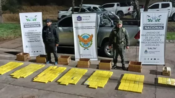 Más de 172 kilos de cocaína incautados en un operativo conjunto entre la Policía de Salta y Gendarmería Nacional