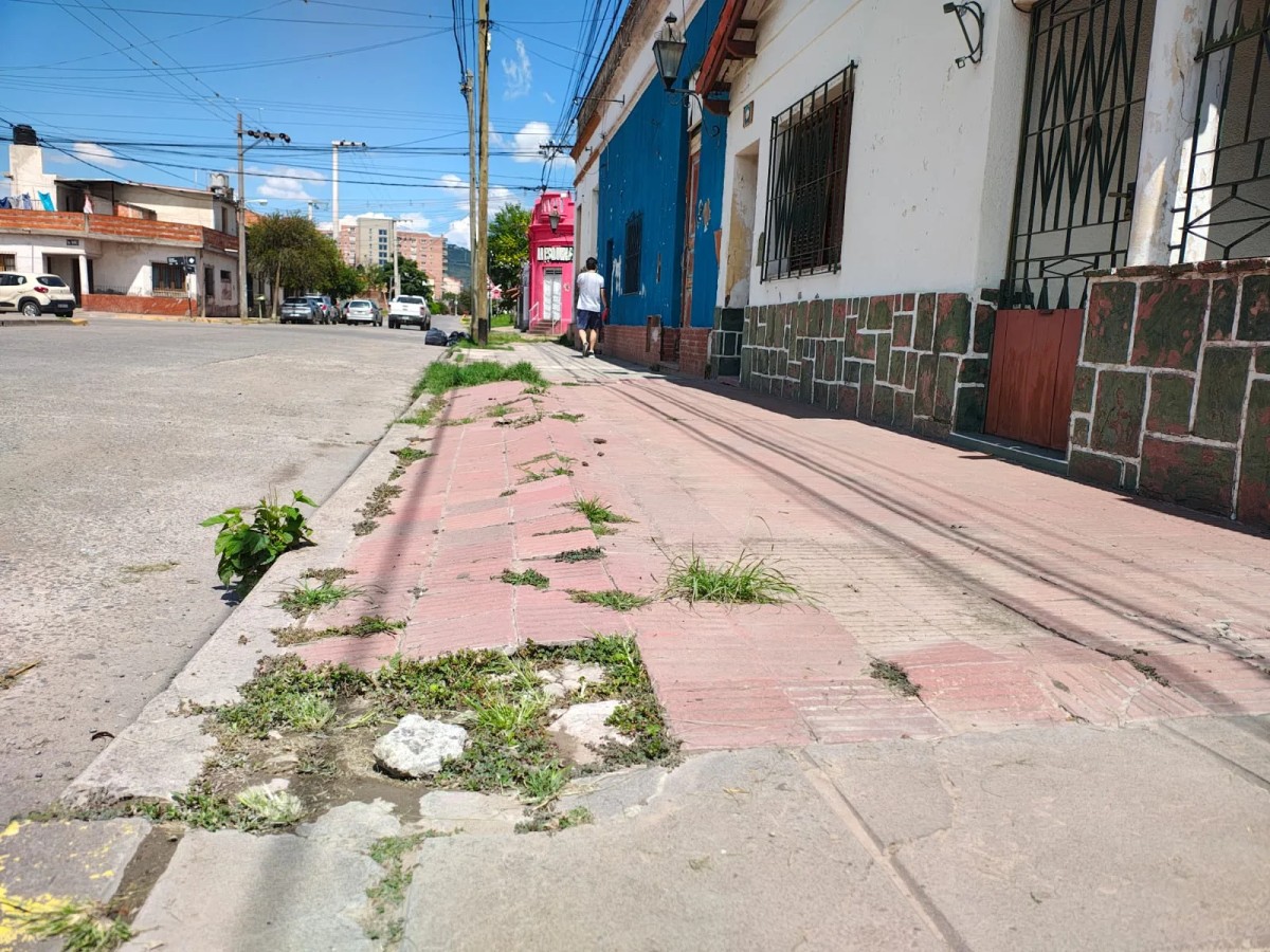 Caminemos seguros: La Municipalidad de Salta lanza el plan "Mi Vereda"