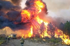Incendio sin tregua: 50 mil hectáreas arrasadas en Chubut