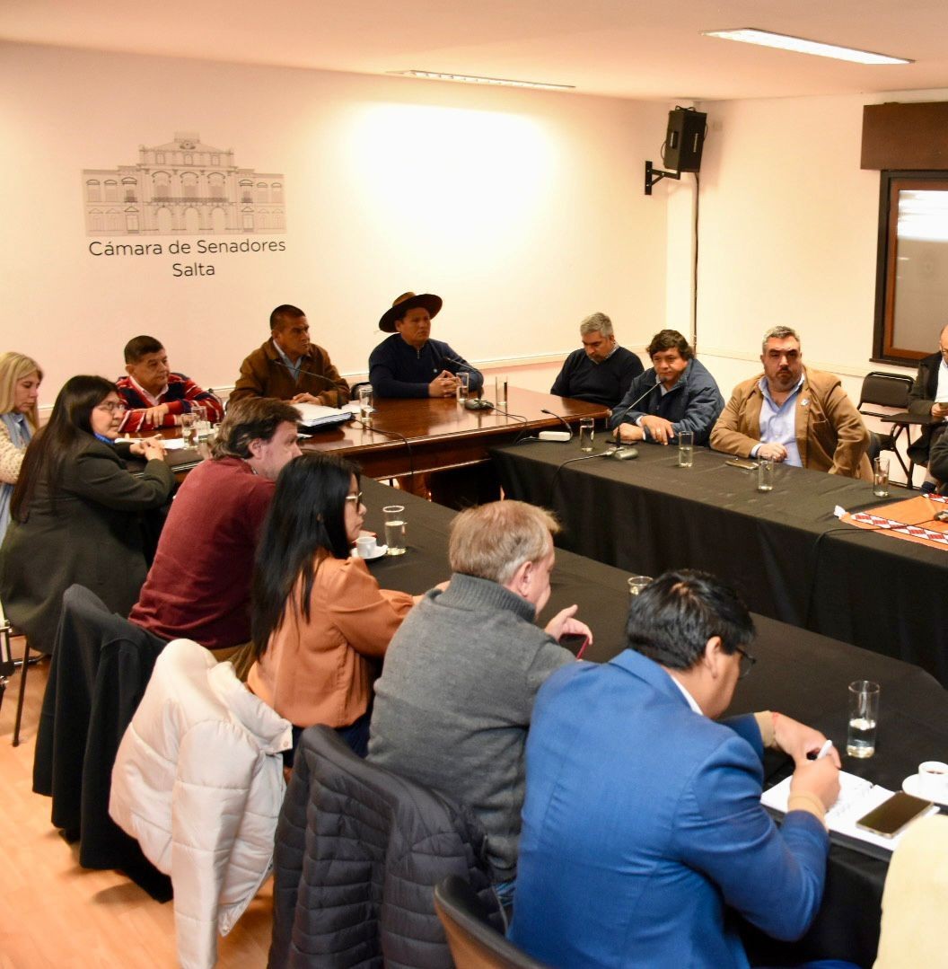 Finca Las Costas: El Senado abrió una ronda de consultas por el proyecto de cesión de tierras a Tigres Rugby Club