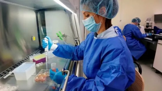Primer caso de síndrome urémico hemolítico en Salta en 2025: un niño de Apolinario Saravia