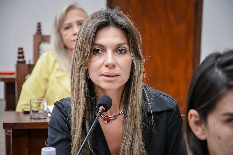 Concejales desconectados: Ahora quieren cambiar el escudo de la Ciudad