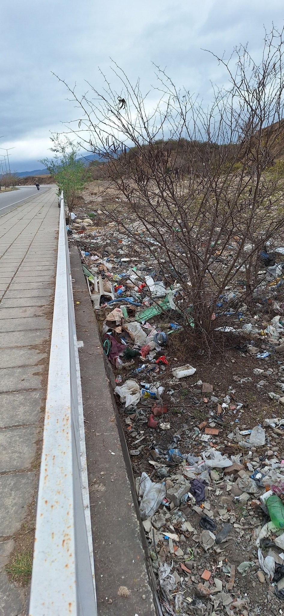 Indignación: Denuncian basural en el Río San Lorenzo