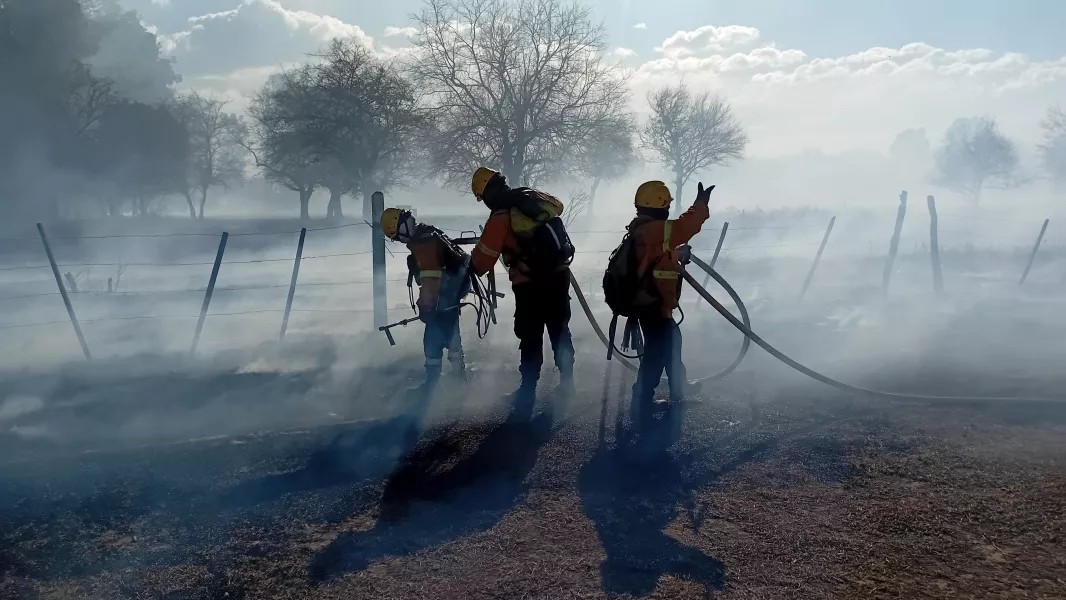 Viento Zonda arrasa con pastizales y viviendas en Salta: Dramáticas imágenes y emergencia total