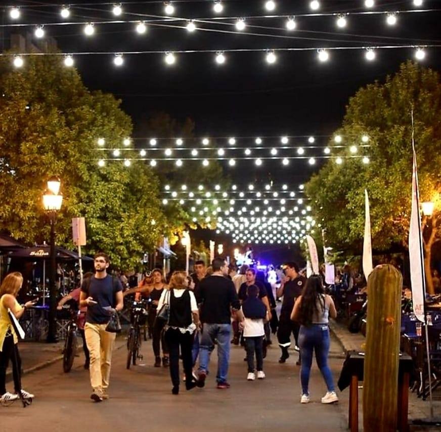 El Concejo busca un nuevo código para ordenar la noche salteña
