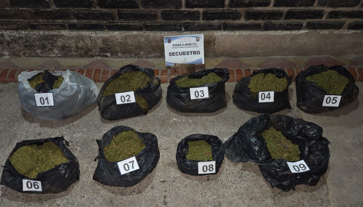 Nueve bolsas y miles de dosis: Incautan más de 46 mil dosis de marihuana en Chicoana