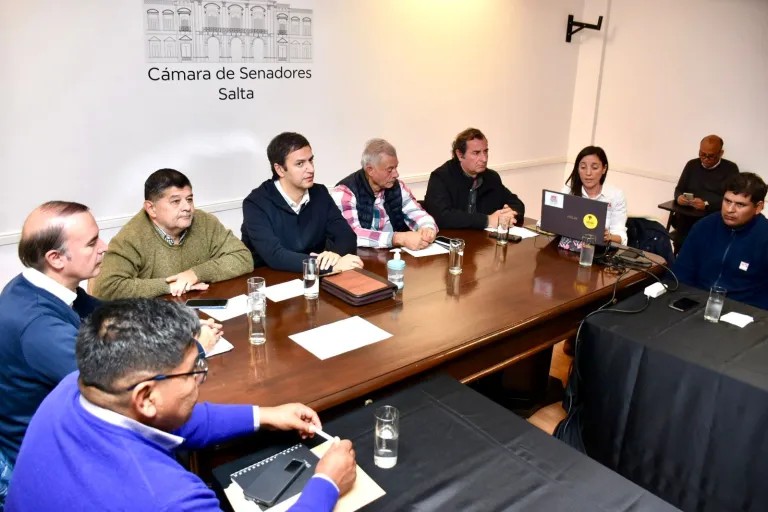 Preocupación en el Senado por posibles recortes y cambios en la estructura del INTA