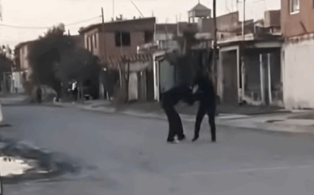 Rosario de Lerma: Peleas, celulares y redes, señales de una adolescencia sin freno