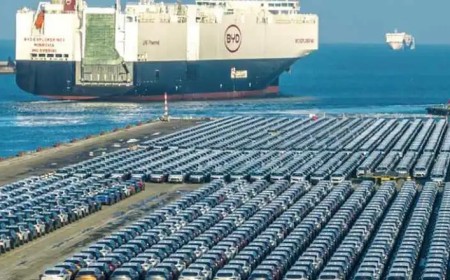 Entre Washington y Beijing: El cruce Caputo–Pichetto por los autos chinos