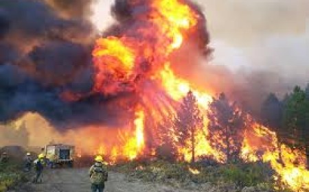 Incendio sin tregua: 50 mil hectáreas arrasadas en Chubut