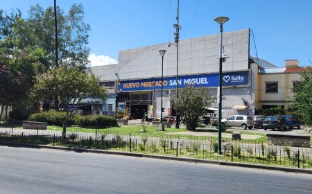 Refuerzan la fumigación en los mercados municipales para garantizar higiene y seguridad