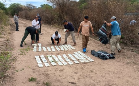 Avioneta caída con cocaína: Detuvieron a los pilotos bolivianos y secuestraron 364 kilos en Rosario de la Frontera