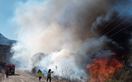 Ruta 40: Un incendio de pastizales movilizó a bomberos y fuerzas locales; identificaron a la responsable