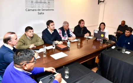 Preocupación en el Senado por posibles recortes y cambios en la estructura del INTA