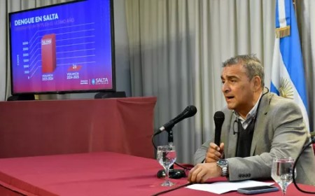 Dengue: La provincia registra la mayor caída de casos en cinco años
