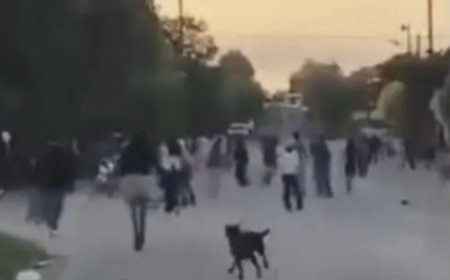 Cinco imputados por robos, lesiones y ataques a la Policía en Rosario de Lerma