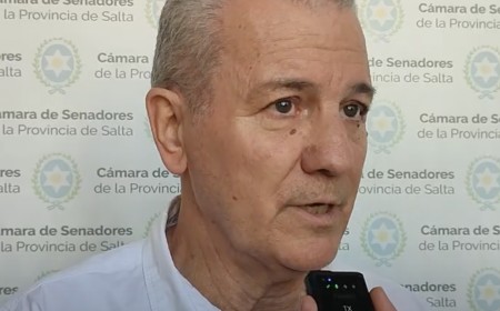 Residencias de Salud: El Senado eliminó el reintegro obligatorio de haberes y mantuvo la potestad de los colegios