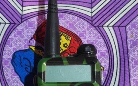 Detenidos por sustraer objetos de vehículos con inhibidores de señal: Cómo funciona este delito y por qué es peligroso
