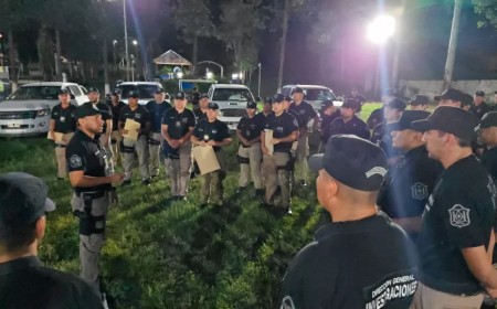 Cayó una red dedicada al robo sistemático de madera tras 13 allanamientos y 7 detenciones en Tartagal