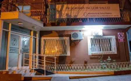 La caja de la discapacidad: millones, cartelización y armadores del poder en Incluir Salud