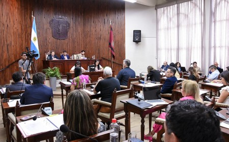 150 ordenanzas y dos códigos marcaron la agenda del Concejo Deliberante
