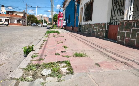 Caminemos seguros: La Municipalidad de Salta lanza el plan "Mi Vereda"