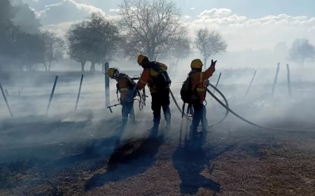 Viento Zonda arrasa con pastizales y viviendas en Salta: Dramáticas imágenes y emergencia total