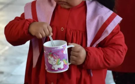 85.000 chicos recibirán la Copa de Leche desde el primer día de clases