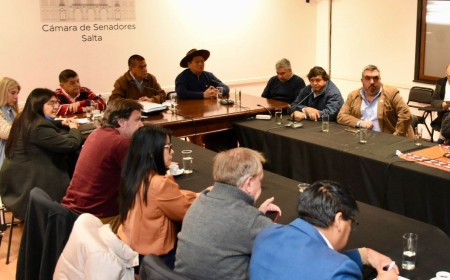 Finca Las Costas: El Senado abrió una ronda de consultas por el proyecto de cesión de tierras a Tigres Rugby Club
