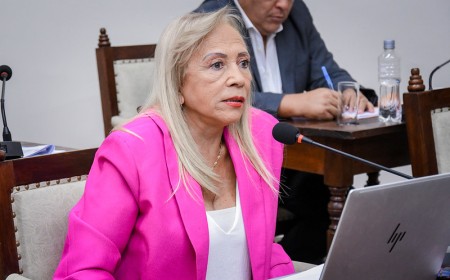 Salta podría pavimentar calles con plástico reciclado