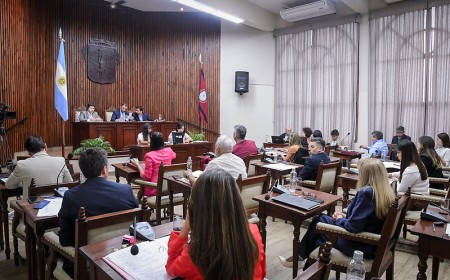 Taxis, apps y competencia justa, sera el tema de debate del Concejo Deliberante