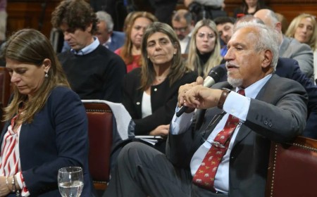 Cuando más lo necesitaban: Juan Carlos Romero ausente en la votación que golpeó a Milei