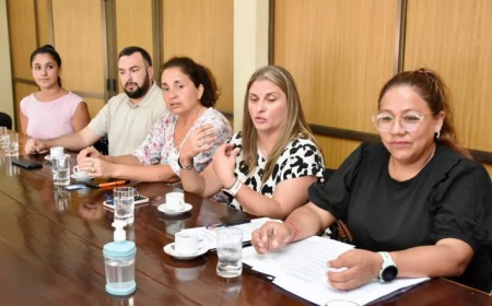 Odontólogos advierten crisis con el IPS y el Senado citará a Baccaro apenas asuma