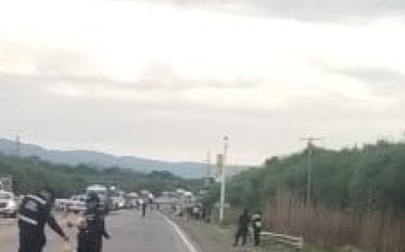 Tragedia en La Viña: Joven de 25 años pierde la vida tras choque entre auto y colectivo en ruta nacional 68